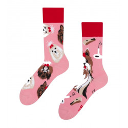 DEDOLES DOLGE NOGAVICE YORKSHIRE TERRIER