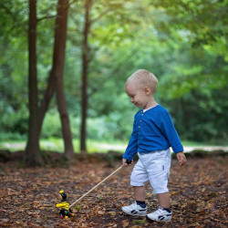 PINO TOYS IGRAČA LESENA NA POTISK