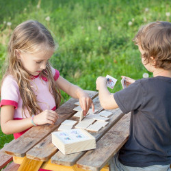 PINO TOYS IGRA SPOMIN LESENA