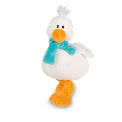 NICI RACA DR. SCHNADDEL