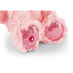 NICI GLUBSCHIS MAČKA DREAMIE