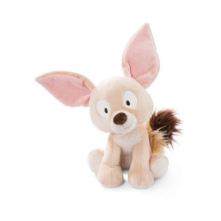 NICI PUŠČAVSKA LISICA FEHMI