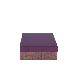 ARTEBENE ŠKATLA DARILNA 30x21x8cm