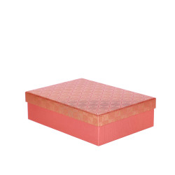 ARTEBENE ŠKATLA DARILNA 24x17x6cm