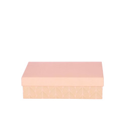 ARTEBENE ŠKATLA DARILNA 22x15x6cm