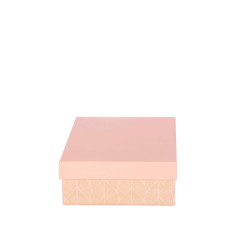 ARTEBENE ŠKATLA DARILNA 22x15x6cm