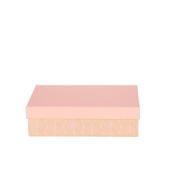 ARTEBENE ŠKATLA DARILNA 22x15x6cm