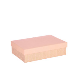 ARTEBENE ŠKATLA DARILNA 22x15x6cm