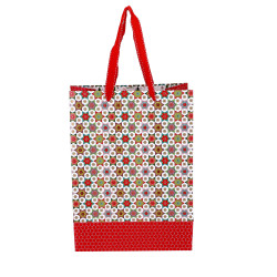 VREČKA DARILNA 30x22x11cm ZVEZDE BELO/RDEČA NL