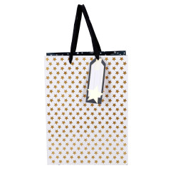 VREČKA DARILNA VELIKA BOŽIČNA ZVEZDE 22X30X11cm NL