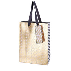 VREČKA DARILNA 18x25x8cm ZVEZDE