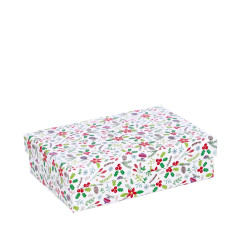 ŠKATLA DARILNA BOŽIČNA NL