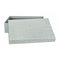 ARTEBENE DARILNA ŠKATLA ZLATE ČRTE