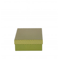 ARTEBENE ŠKATLA DARILNA 20x13x5cm