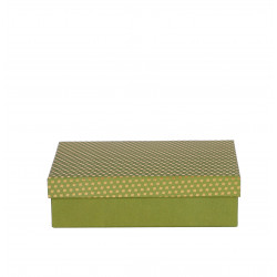 ARTEBENE ŠKATLA DARILNA 20x13x5cm