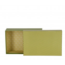 ARTEBENE ŠKATLA DARILNA 20x13x5cm