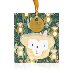 ACCENTRA SOL KOPALNA WILD AT HEART